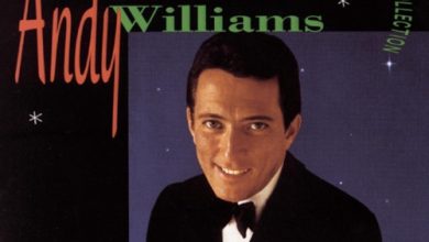 Andy Williams - It’s the Most Wonderful Time of the Year