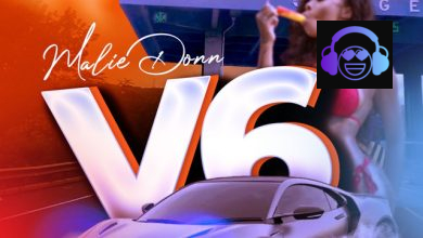 Ireland Boss ft. Malie Donn - V6