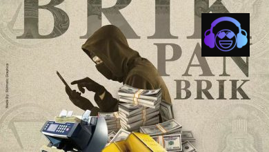 Brik Pan Brik by Skillibeng