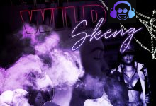 Get Wild by Skeng