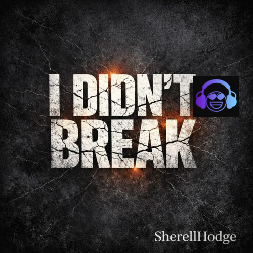 I Didn't Break by SherellHodge