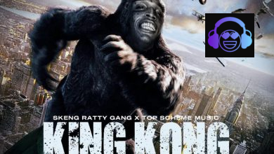 King Kong by Skeng
