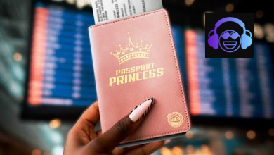 Passport Princess by Valiant ft. Rvssian