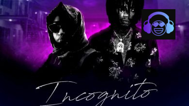Stalk Ashley - Incognito ft. Alkaline