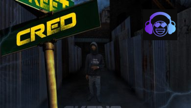 Street Cred by Skeng