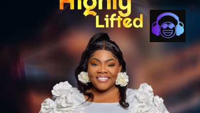Highly Lifted by Celestine Donkor
