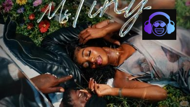 Jah Vinci ft. Jiggy D – Ms.Tiny
