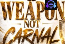 Sheena Taylor – Weapons Not Carnal