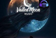 Vailedmoon music - Chaos of Love Album Artwork