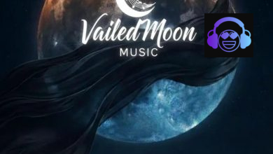 Vailedmoon music - Chaos of Love Album Artwork
