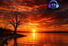 Zim Gospel Hub – Ndakasarudzwa