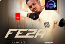 Feza - Inkanyezi EP Artwork