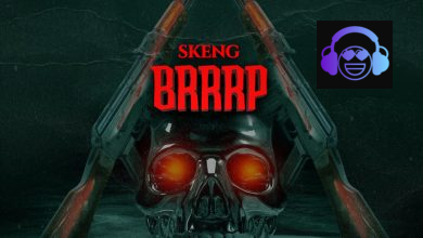 Brrrp track cover
