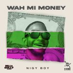 Nigy Boy Di Genius Wah Mi Money Hill Gully Riddim